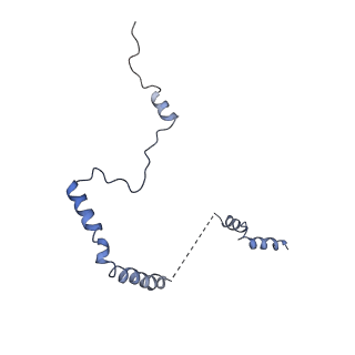 25994_7tm3_b_v1-3
Structure of the rabbit 80S ribosome stalled on a 2-TMD Rhodopsin intermediate in complex with the multipass translocon