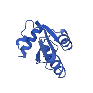 25994_7tm3_c_v1-3
Structure of the rabbit 80S ribosome stalled on a 2-TMD Rhodopsin intermediate in complex with the multipass translocon