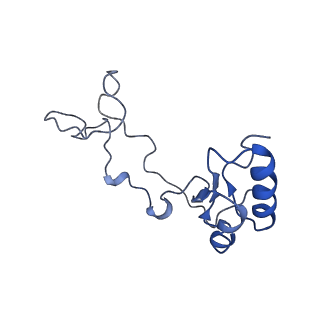 25994_7tm3_e_v1-3
Structure of the rabbit 80S ribosome stalled on a 2-TMD Rhodopsin intermediate in complex with the multipass translocon
