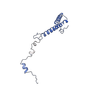 25994_7tm3_h_v1-3
Structure of the rabbit 80S ribosome stalled on a 2-TMD Rhodopsin intermediate in complex with the multipass translocon