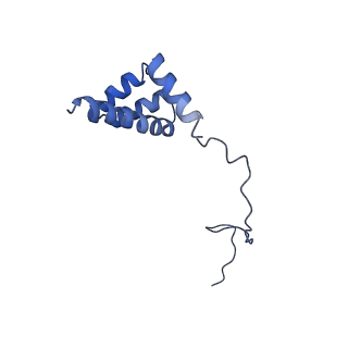 25994_7tm3_i_v1-3
Structure of the rabbit 80S ribosome stalled on a 2-TMD Rhodopsin intermediate in complex with the multipass translocon