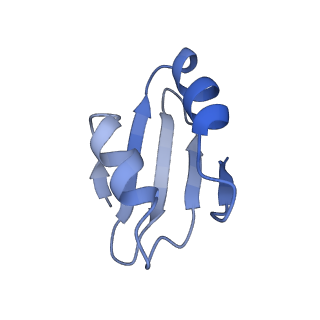 25994_7tm3_k_v1-3
Structure of the rabbit 80S ribosome stalled on a 2-TMD Rhodopsin intermediate in complex with the multipass translocon