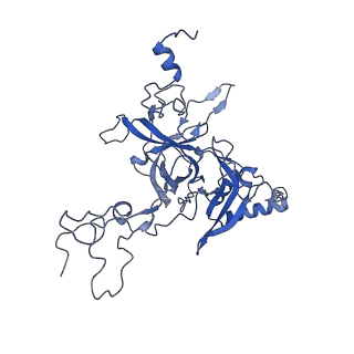 25994_7tm3_w_v1-3
Structure of the rabbit 80S ribosome stalled on a 2-TMD Rhodopsin intermediate in complex with the multipass translocon