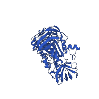 25996_7tmm_A_v1-4
Complete V1 Complex from Saccharomyces cerevisiae