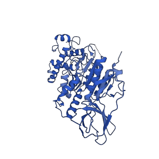 25996_7tmm_B_v1-4
Complete V1 Complex from Saccharomyces cerevisiae