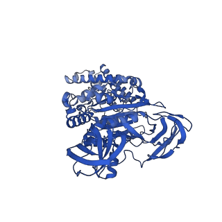 25996_7tmm_C_v1-3
Complete V1 Complex from Saccharomyces cerevisiae