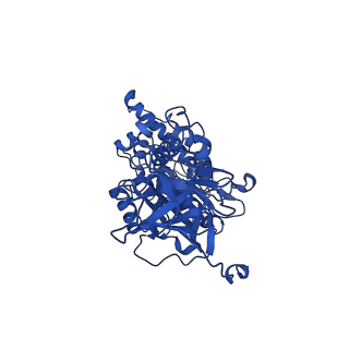 25996_7tmm_D_v1-3
Complete V1 Complex from Saccharomyces cerevisiae