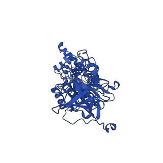 25996_7tmm_D_v1-4
Complete V1 Complex from Saccharomyces cerevisiae