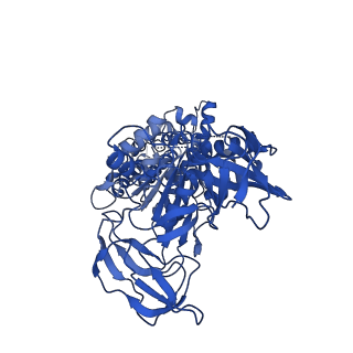 25996_7tmm_E_v1-4
Complete V1 Complex from Saccharomyces cerevisiae