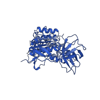 25996_7tmm_F_v1-3
Complete V1 Complex from Saccharomyces cerevisiae