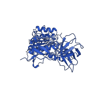 25996_7tmm_F_v1-4
Complete V1 Complex from Saccharomyces cerevisiae