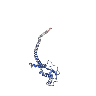 25996_7tmm_G_v1-3
Complete V1 Complex from Saccharomyces cerevisiae