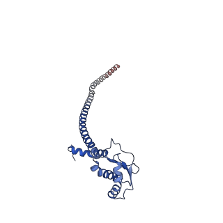 25996_7tmm_G_v1-4
Complete V1 Complex from Saccharomyces cerevisiae