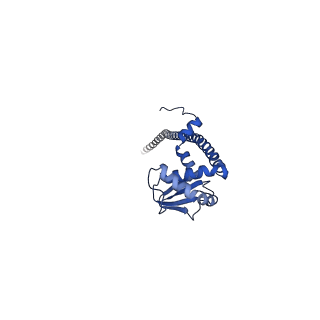 25996_7tmm_I_v1-3
Complete V1 Complex from Saccharomyces cerevisiae