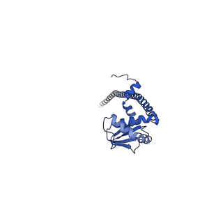 25996_7tmm_I_v1-4
Complete V1 Complex from Saccharomyces cerevisiae