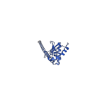 25996_7tmm_K_v1-3
Complete V1 Complex from Saccharomyces cerevisiae