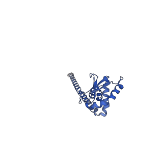 25996_7tmm_K_v1-4
Complete V1 Complex from Saccharomyces cerevisiae