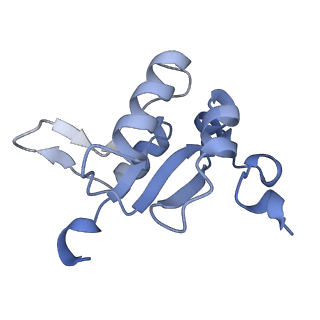 25996_7tmm_N_v1-3
Complete V1 Complex from Saccharomyces cerevisiae