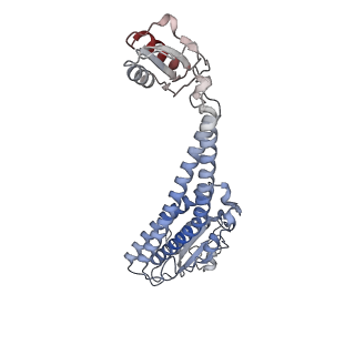 25996_7tmm_O_v1-3
Complete V1 Complex from Saccharomyces cerevisiae