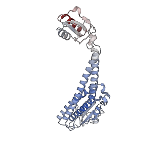 25996_7tmm_O_v1-4
Complete V1 Complex from Saccharomyces cerevisiae