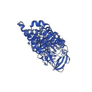 25997_7tmo_A_v1-3
V1 complex lacking subunit C from Saccharomyces cerevisiae, State 1