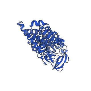 25997_7tmo_A_v1-4
V1 complex lacking subunit C from Saccharomyces cerevisiae, State 1