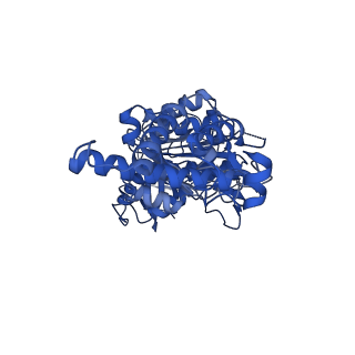 25997_7tmo_B_v1-3
V1 complex lacking subunit C from Saccharomyces cerevisiae, State 1