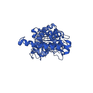 25997_7tmo_B_v1-4
V1 complex lacking subunit C from Saccharomyces cerevisiae, State 1