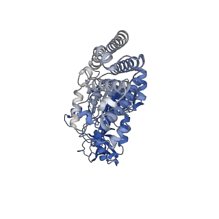 25997_7tmo_C_v1-3
V1 complex lacking subunit C from Saccharomyces cerevisiae, State 1