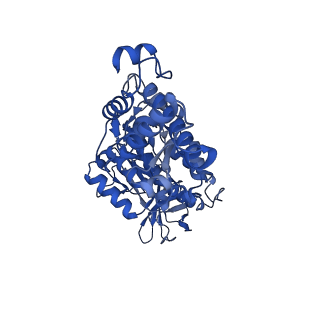 25997_7tmo_D_v1-3
V1 complex lacking subunit C from Saccharomyces cerevisiae, State 1