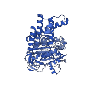 25997_7tmo_E_v1-4
V1 complex lacking subunit C from Saccharomyces cerevisiae, State 1