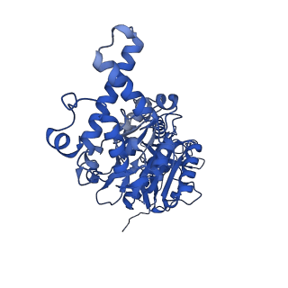 25997_7tmo_F_v1-3
V1 complex lacking subunit C from Saccharomyces cerevisiae, State 1