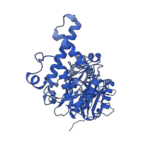 25997_7tmo_F_v1-4
V1 complex lacking subunit C from Saccharomyces cerevisiae, State 1