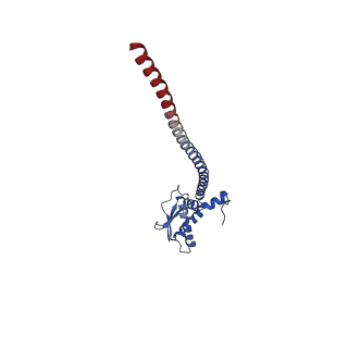 25997_7tmo_G_v1-3
V1 complex lacking subunit C from Saccharomyces cerevisiae, State 1