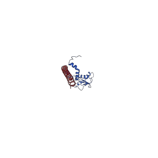 25997_7tmo_I_v1-4
V1 complex lacking subunit C from Saccharomyces cerevisiae, State 1