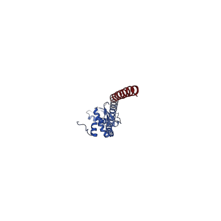 25997_7tmo_K_v1-3
V1 complex lacking subunit C from Saccharomyces cerevisiae, State 1