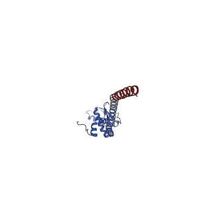 25997_7tmo_K_v1-4
V1 complex lacking subunit C from Saccharomyces cerevisiae, State 1