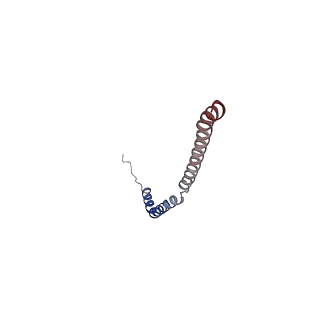 25997_7tmo_L_v1-4
V1 complex lacking subunit C from Saccharomyces cerevisiae, State 1