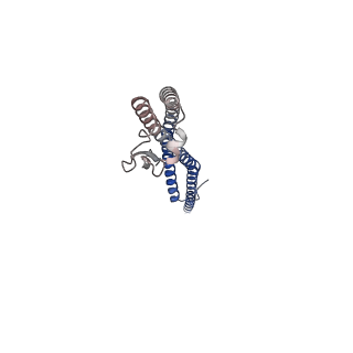 25997_7tmo_M_v1-4
V1 complex lacking subunit C from Saccharomyces cerevisiae, State 1