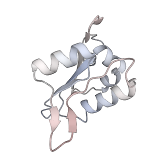 25997_7tmo_N_v1-3
V1 complex lacking subunit C from Saccharomyces cerevisiae, State 1