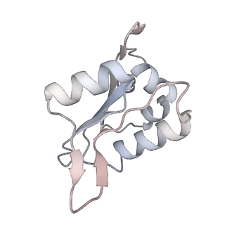 25997_7tmo_N_v1-4
V1 complex lacking subunit C from Saccharomyces cerevisiae, State 1