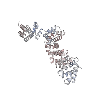 25997_7tmo_P_v1-3
V1 complex lacking subunit C from Saccharomyces cerevisiae, State 1