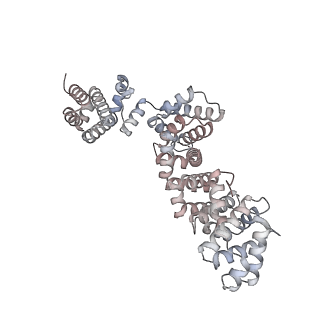 25997_7tmo_P_v1-4
V1 complex lacking subunit C from Saccharomyces cerevisiae, State 1