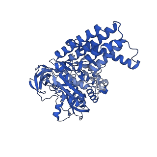 25999_7tmq_A_v1-4
V1 complex lacking subunit C from Saccharomyces cerevisiae, State 3