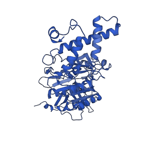25999_7tmq_B_v1-3
V1 complex lacking subunit C from Saccharomyces cerevisiae, State 3