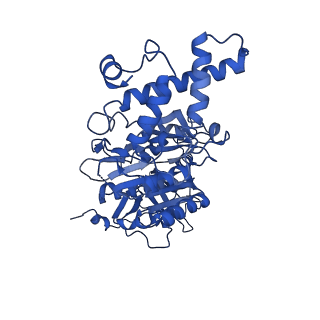 25999_7tmq_B_v1-4
V1 complex lacking subunit C from Saccharomyces cerevisiae, State 3