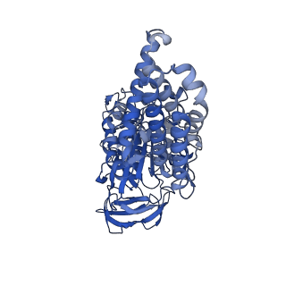 25999_7tmq_C_v1-3
V1 complex lacking subunit C from Saccharomyces cerevisiae, State 3