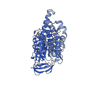 25999_7tmq_C_v1-4
V1 complex lacking subunit C from Saccharomyces cerevisiae, State 3