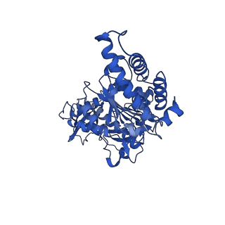 25999_7tmq_D_v1-4
V1 complex lacking subunit C from Saccharomyces cerevisiae, State 3