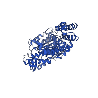 25999_7tmq_E_v1-3
V1 complex lacking subunit C from Saccharomyces cerevisiae, State 3